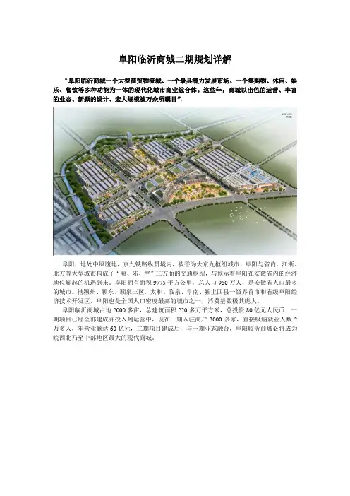 阜阳临沂商城二期项目规划详解 文档