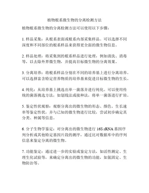 植物根系微生物的分离检测方法