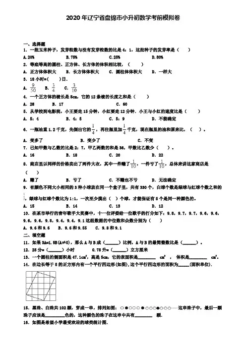2020年辽宁省盘锦市小升初数学考前模拟卷