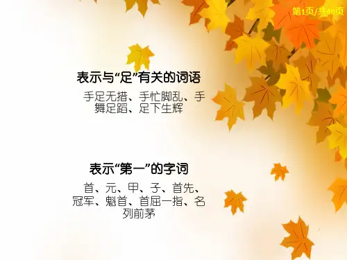 小学生必背词语PPT课件8