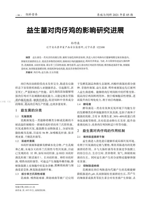 益生菌对肉仔鸡的影响研究进展