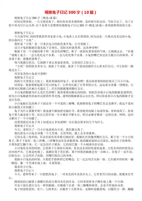 观察兔子日记300字(10篇)