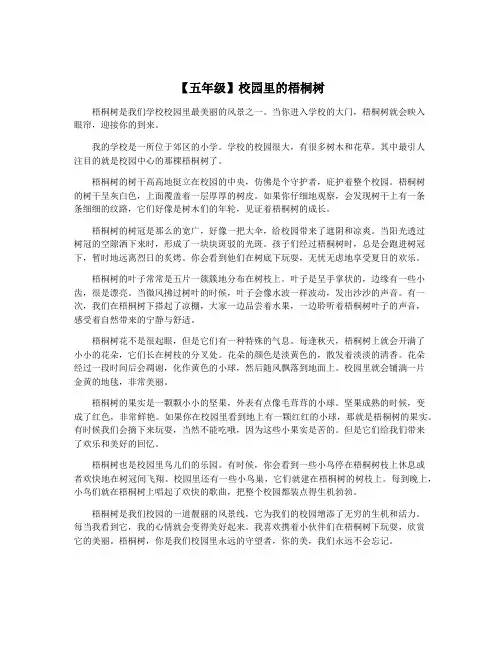 【五年级】校园里的梧桐树