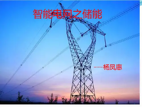 智能电网之储能 PPT课件