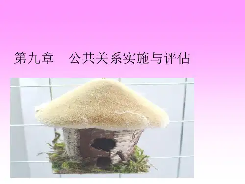 公共关系实施与评估讲义