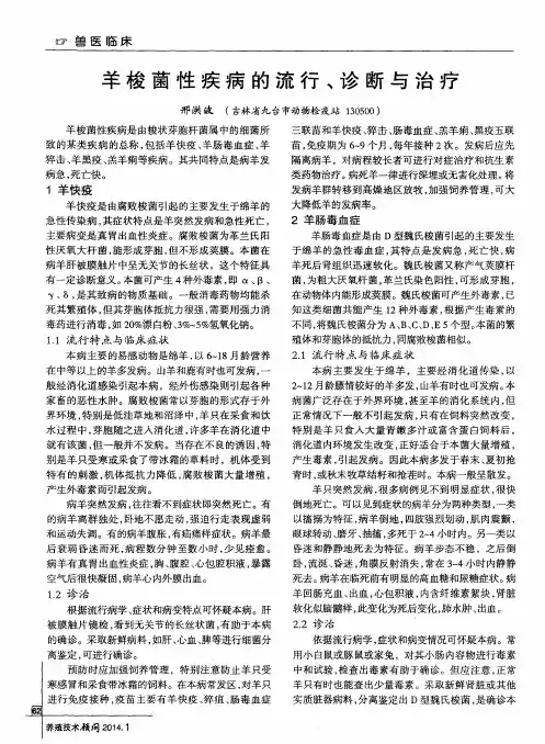 羊梭菌性疾病的流行、诊断与治疗