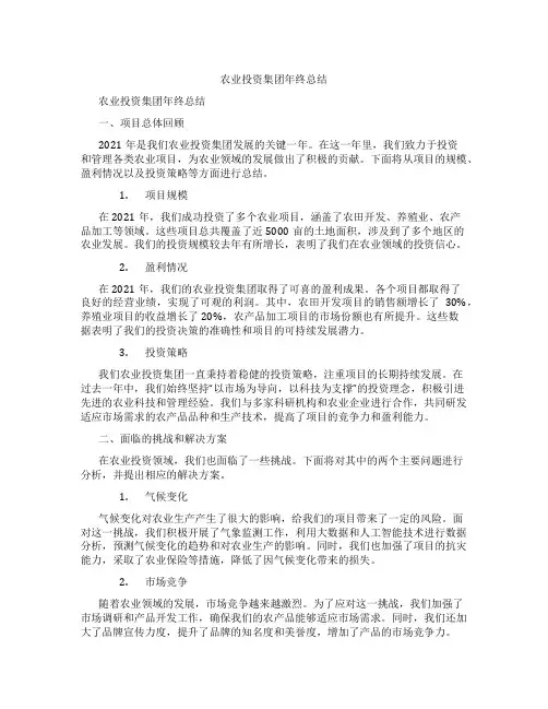 农业投资集团年终总结