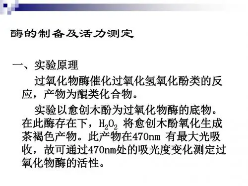 中图版选修一 酶的制备及活力测定 课件(30张)