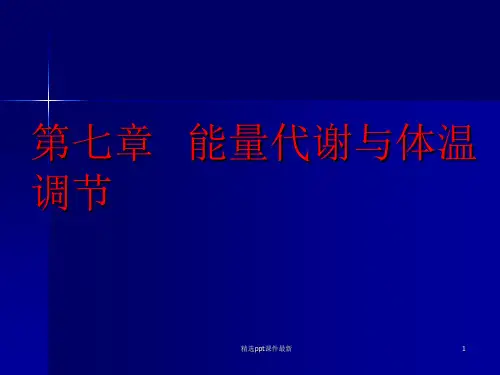 动物生理学能量代谢与体温调节PPT课件