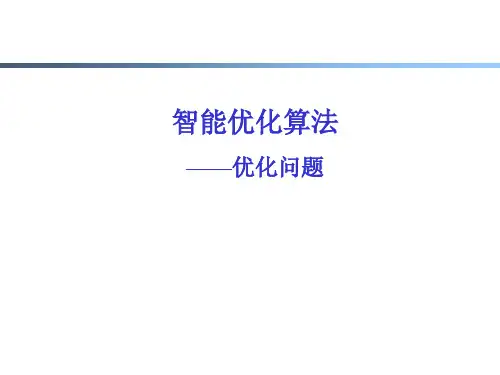 智能优化算法优化问题