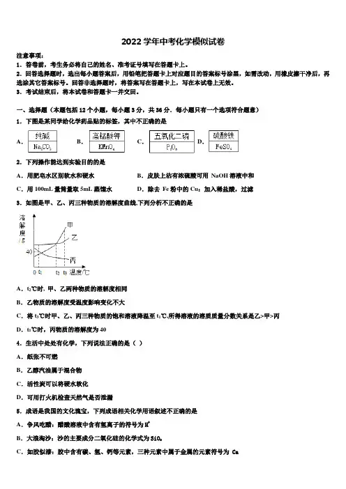 2022学年山东省平邑县蒙阳新星学校中考押题化学预测卷(含解析)