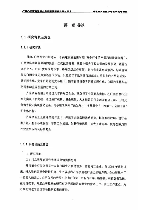 丹泉酒业有限公司品牌战略研究
