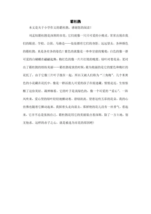 簕杜鹃_小学作文