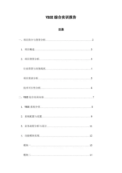 VBSE综合实训报告
