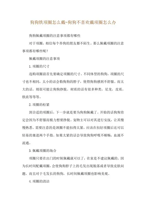 狗狗铁项圈怎么戴-狗狗不喜欢戴项圈怎么办