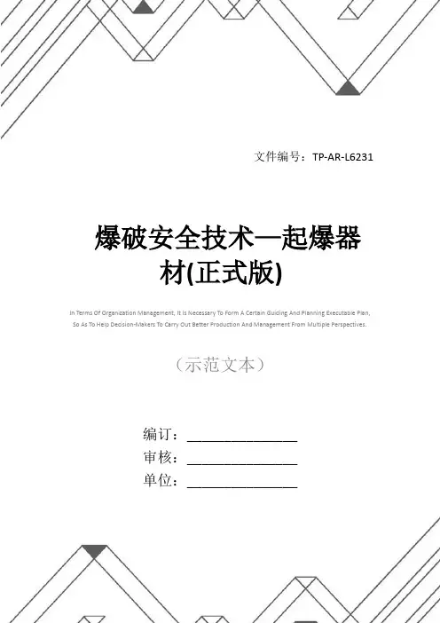 爆破安全技术—起爆器材(正式版)