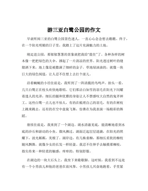 游三亚白鹭公园的作文