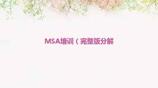 MSA培训(完整版)分解