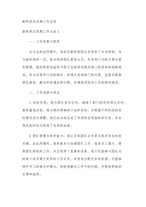 副科级试用期工作总结