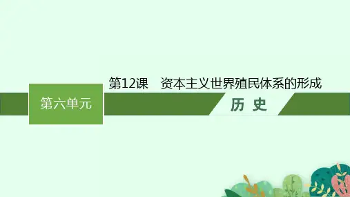 人教版高中历史必修下册精品课件 第12课 资本主义世界殖民体系的形成 (2)