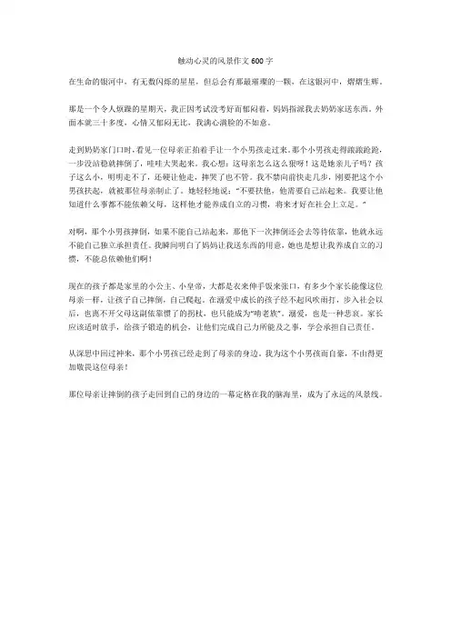 触动心灵的风景作文600字