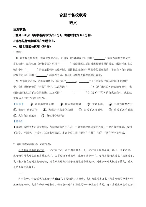2024年安徽省合肥市名校联考中考模拟语文试题(解析版)