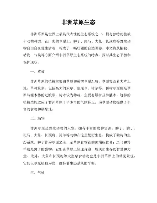 非洲草原生态
