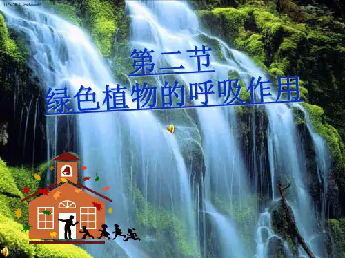 绿色植物的呼吸作用(共46张PPT)