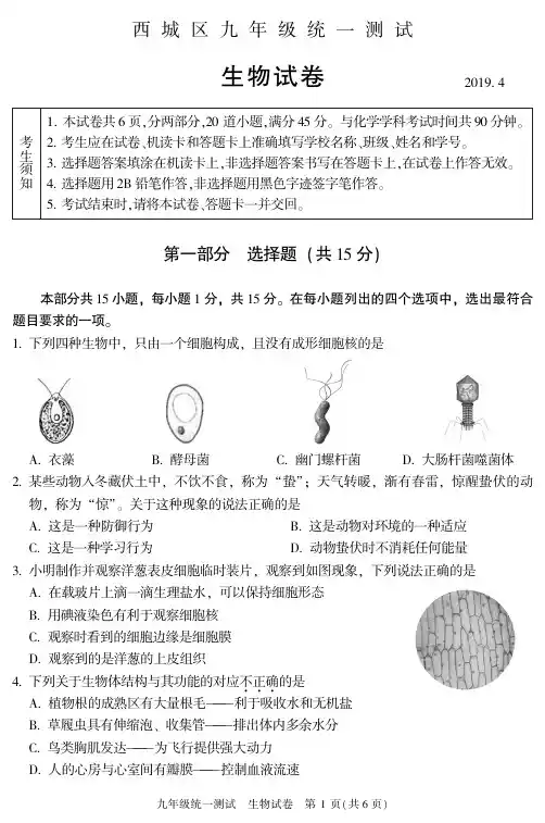 2019年西城初三生物一模