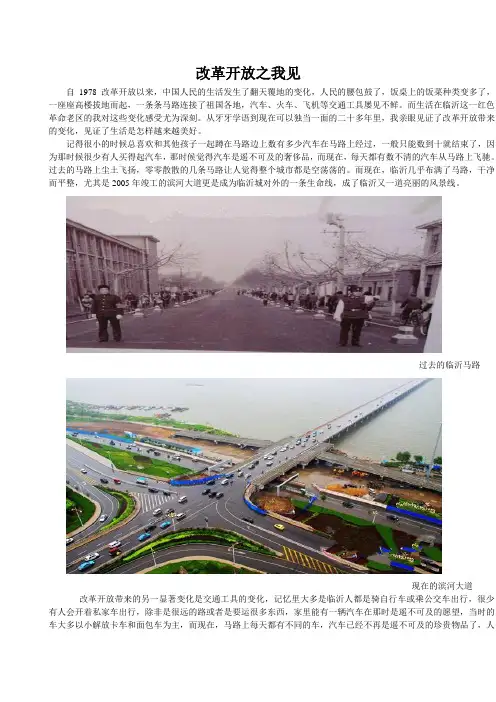 改革开放之我见