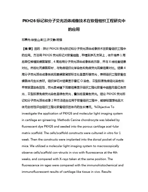 PKH26标记和分子荧光活体成像技术在软骨组织工程研究中的应用