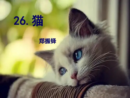 七年级语文人教版下册教学课件：第26课《猫》