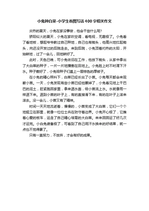 小兔种白菜-小学生看图写话400字相关作文