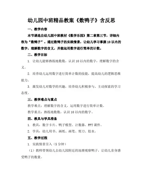 幼儿园中班精品教案《数鸭子》含反思