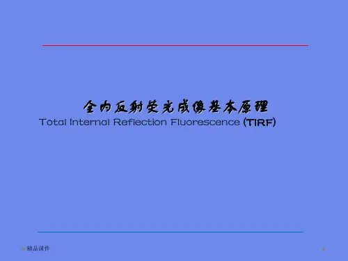 全内反射荧光成像基本原理