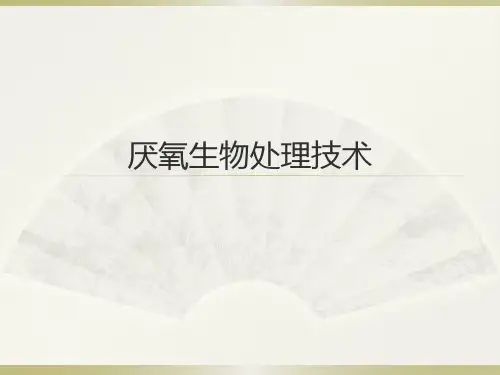 3厌氧生物处理技术