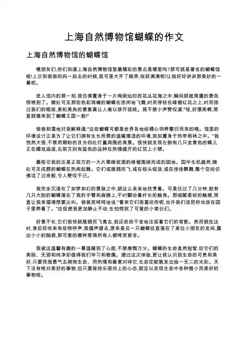 上海自然博物馆蝴蝶的作文