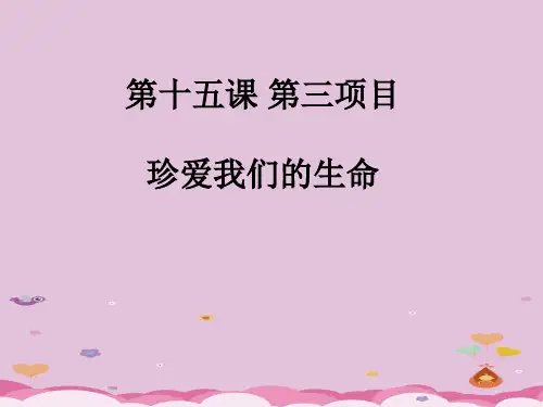 珍爱我们的生命PPT课件8 鲁教版