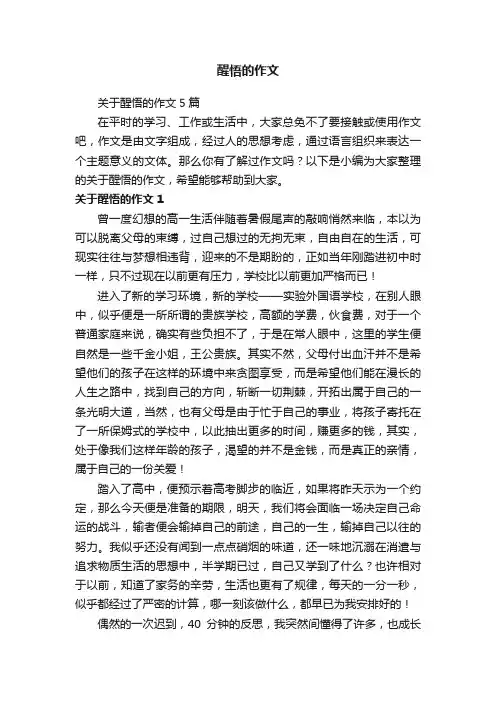关于醒悟的作文5篇