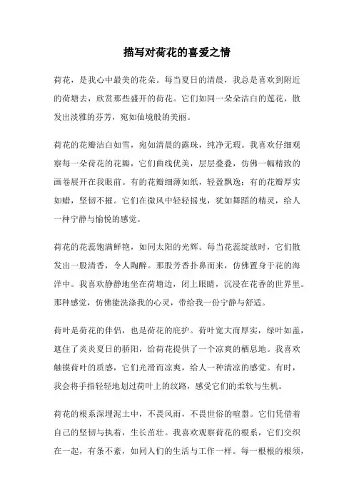 描写对荷花的喜爱之情