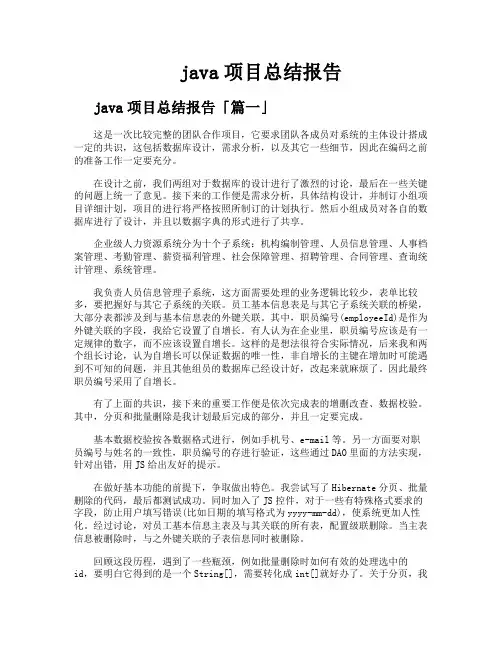 java项目总结报告