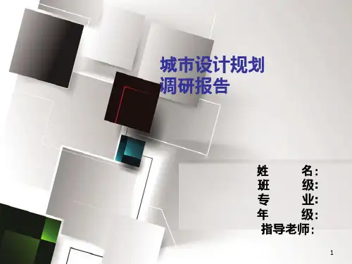 城市调研报告ppt课件