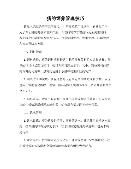 猪的饲养管理技巧