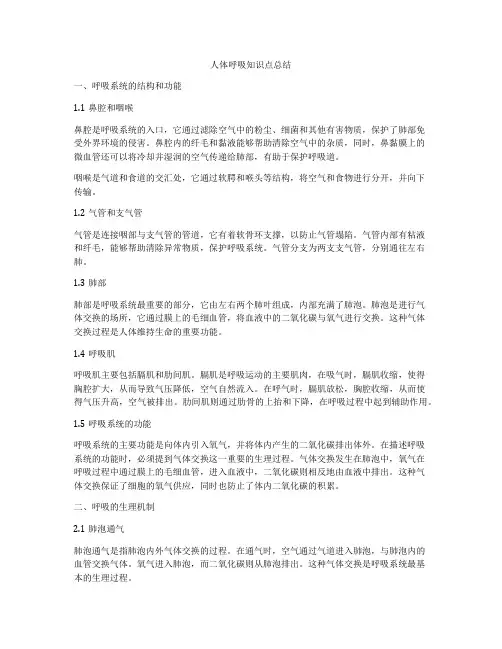 人体呼吸知识点总结