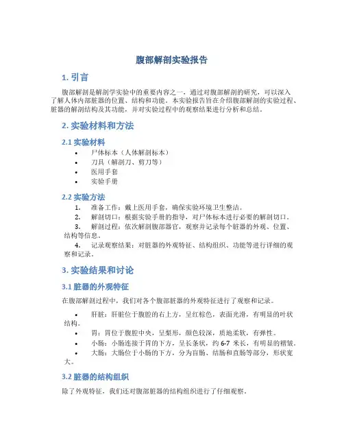 腹部解剖实验报告