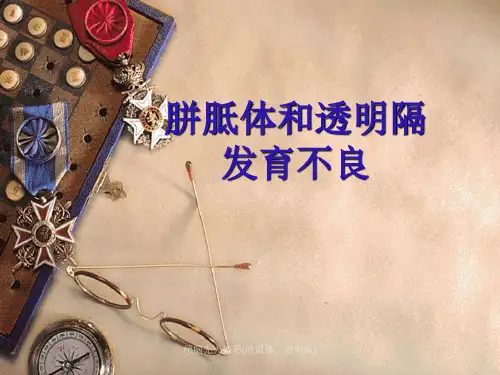 颅脑先天畸形(胼胝体、透明隔)ppt课件