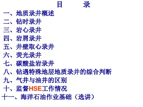 地质监督现场技术地质录井ppt课件
