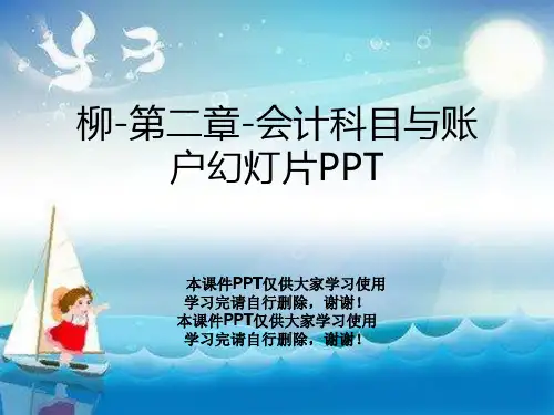 柳-第二章-会计科目与账户幻灯片PPT