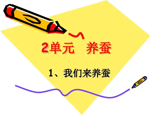 苏教版四年级科学下册5《我们来养蚕》课件