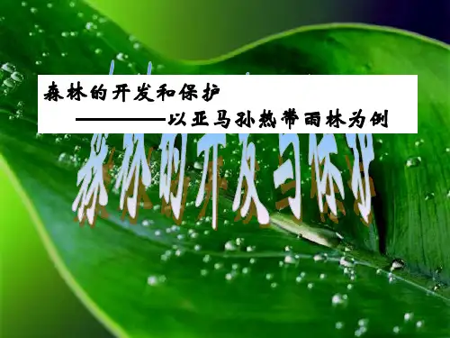 人教版高中地理必修三第二章第二节 《森林的开发和保护——以亚马孙热带雨林为例》课件(共20张PPT)